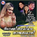 Vannathenthinaanu Nee