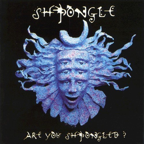 Are You Shpongled?_poster_image