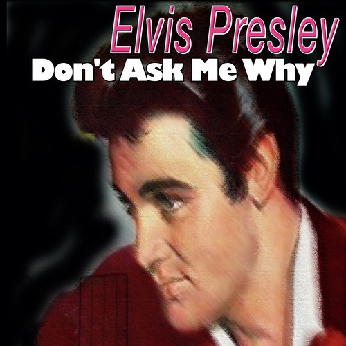 Don't Ask Me Why Lyrics - Elvis Presley - Only on JioSaavn