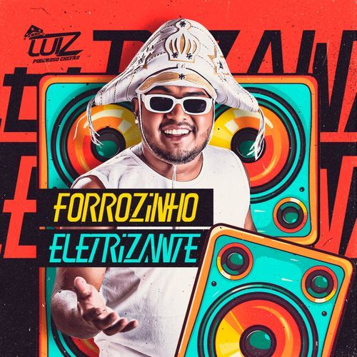 Forrozinho Eletrizante_poster_image