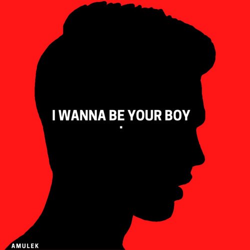 I Wanna Be Your Boy cover art