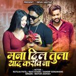 Mana Dil Tula Yaad Karav Na