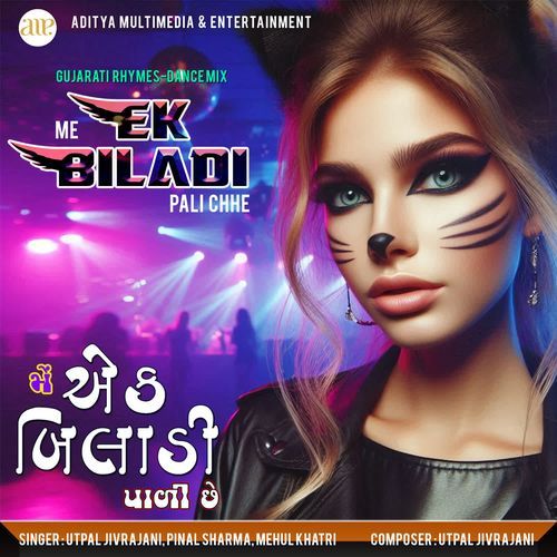 Me Ek Biladi Pali Chhe-Dj Mix