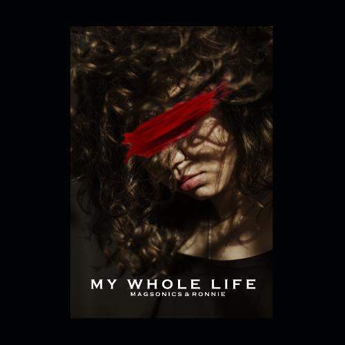 My Whole Life_poster_image