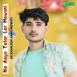 Na Aayo Telar Ler Mewati