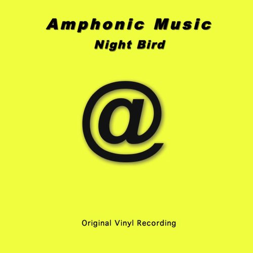 Night Bird