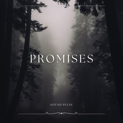 Promises