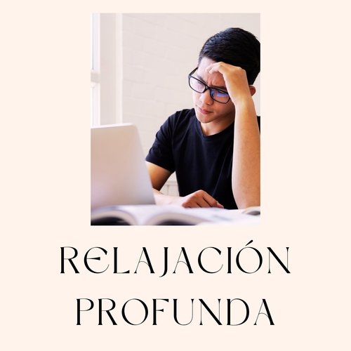 Canción para la Concentración cover art