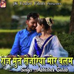 Roj Mute Sejariya Mor Balam