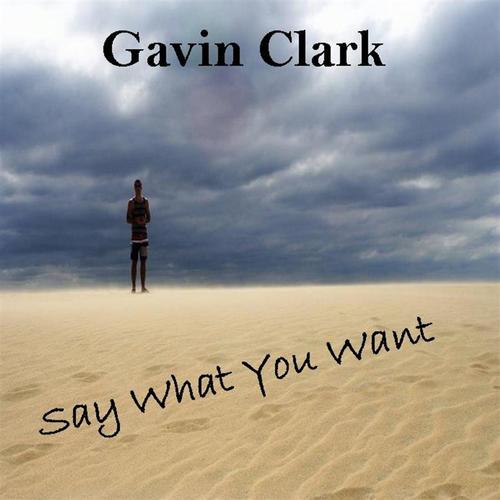 Say What You Want_poster_image