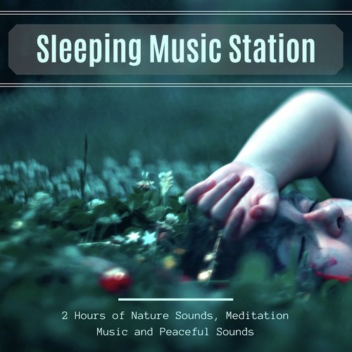 Sleeping Music Station: 2 Hours of Nature Sounds, Meditation Music and Peaceful Sounds