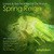 Spring Reign (Antidote Mix) [feat. Meital De Razon]