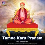 Tamne Karu Pranam artwork