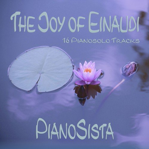 The Joy of Einaudi (16 Pianosolo Tracks)_poster_image