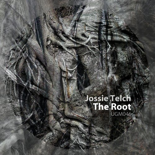 The Root