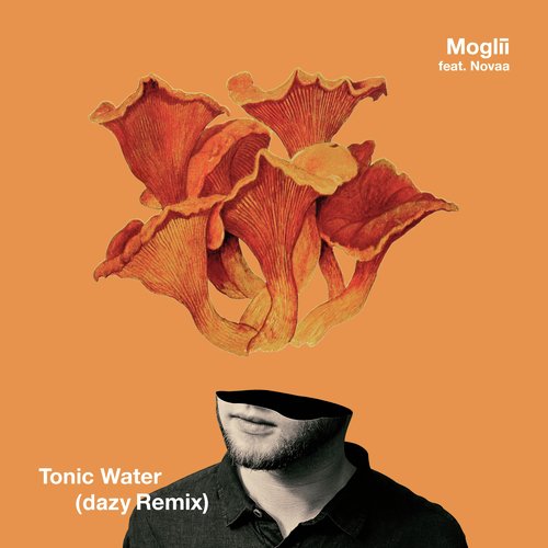 Tonic Water (dazy Remix)