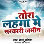 Tora Lahenga Me Sarkari Jameen