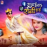 Tu Facebook Ke Raja Bara Hum Tik Tok Ke Rani Hayi