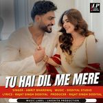 Tu Hai Dil Me Mere