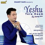 Yeshu Tera Naam