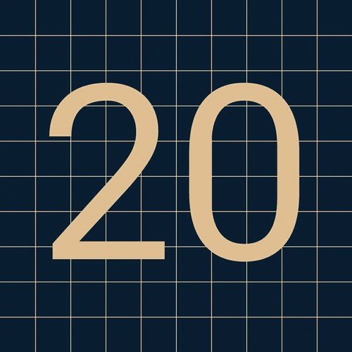 20 Cop cover art