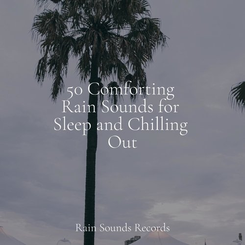 50 Comforting Rain Sounds for Sleep and Chilling Out