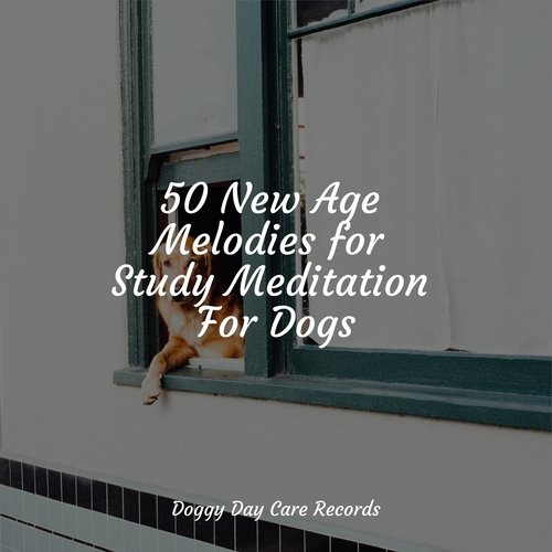Meditating Music cover art