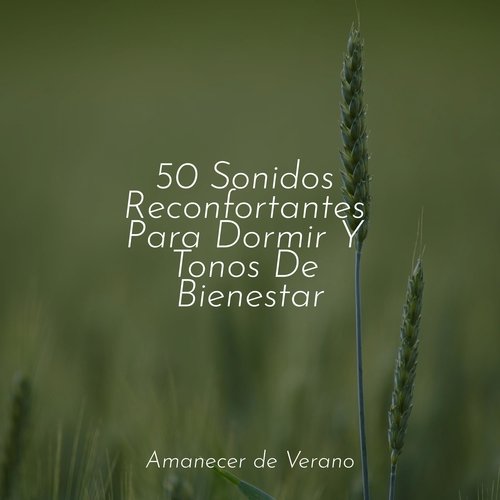 50 Sonidos Reconfortantes Para Dormir Y Tonos De Bienestar