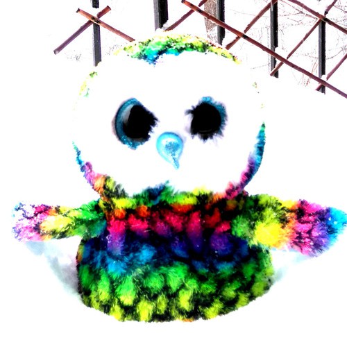Aria (the Owl) cover art