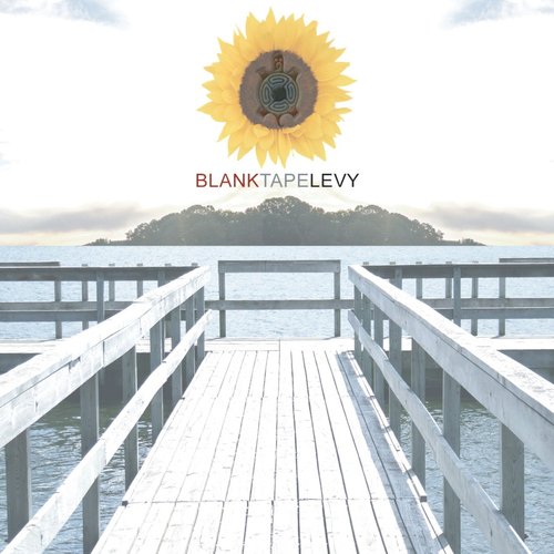 Blank Tape Levy (feat. Julian Taylor)_poster_image