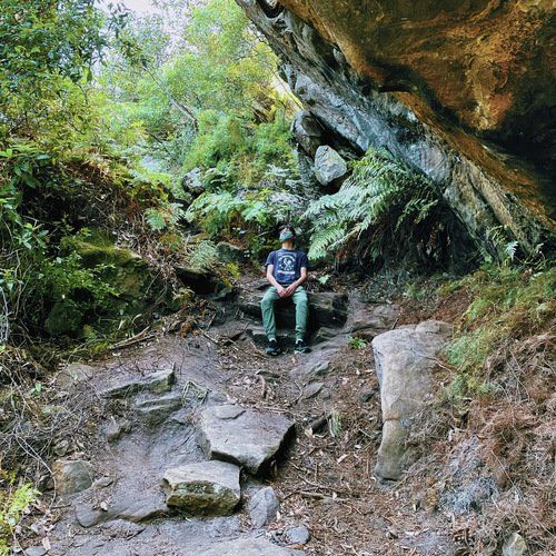 Over cover art