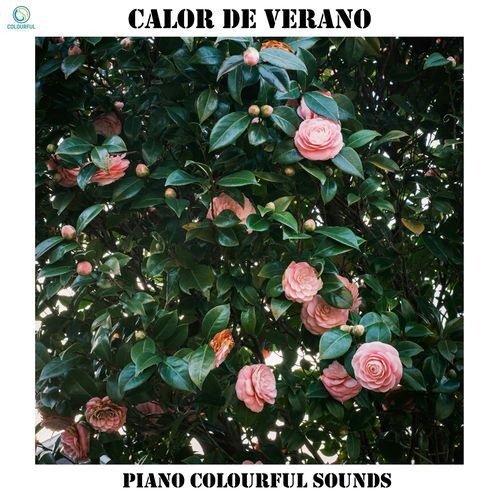 Calor de verano