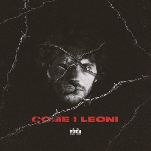 Come i leoni_poster_image