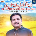 Dil Mangeya Koi Jan Tan Nai