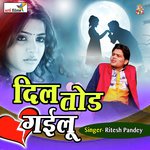 Dil Tor Gailu (Lokgeet)