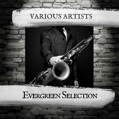 Rev. Gary Davis cover art