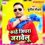 Kahe Jiyara Jarawelu