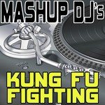 Kung Fu Fighting (Re-Mix Package For DJ's)