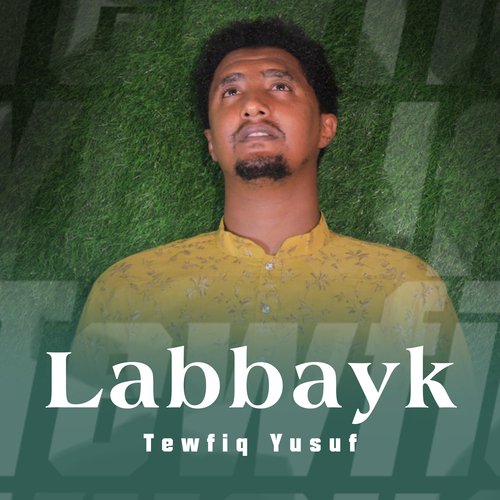 Labbayk cover art