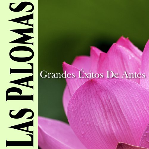 Las Palomas Grandes Éxitos de Antes_poster_image