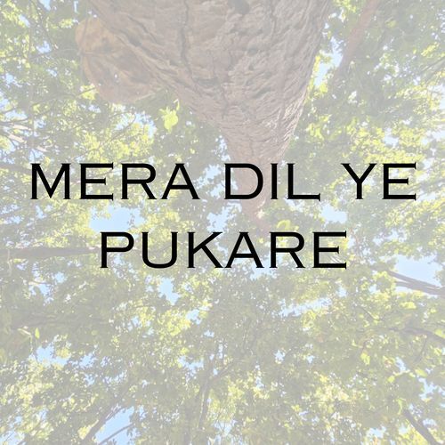 MERA DIL YE PUKARE
