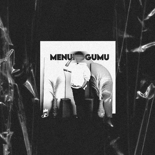 VinKy Si Joli cover art