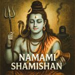 Namami Shamishan