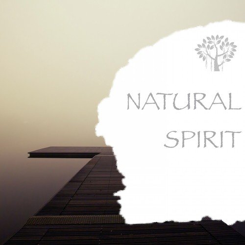 Nature Sounds - Birds Singing cover art