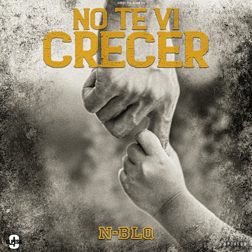 No Te Vi Crecer_poster_image