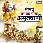 Shrimad Bhagwad Geeta Amritwani
