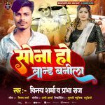 Sona Ho Brand Banila