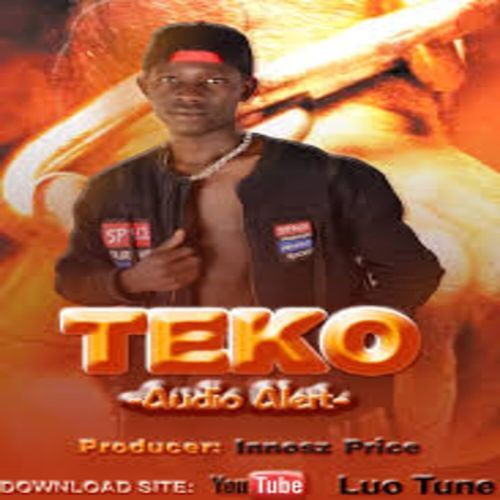 Teko cover art