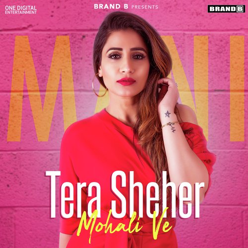 Tera Sheher Mohali Ve_poster_image