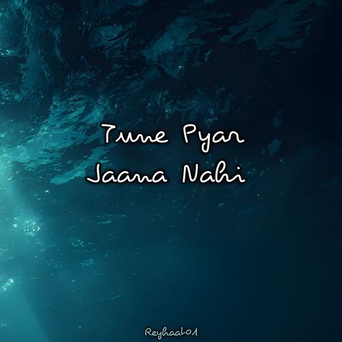 Tune Pyar Jaana Nahi